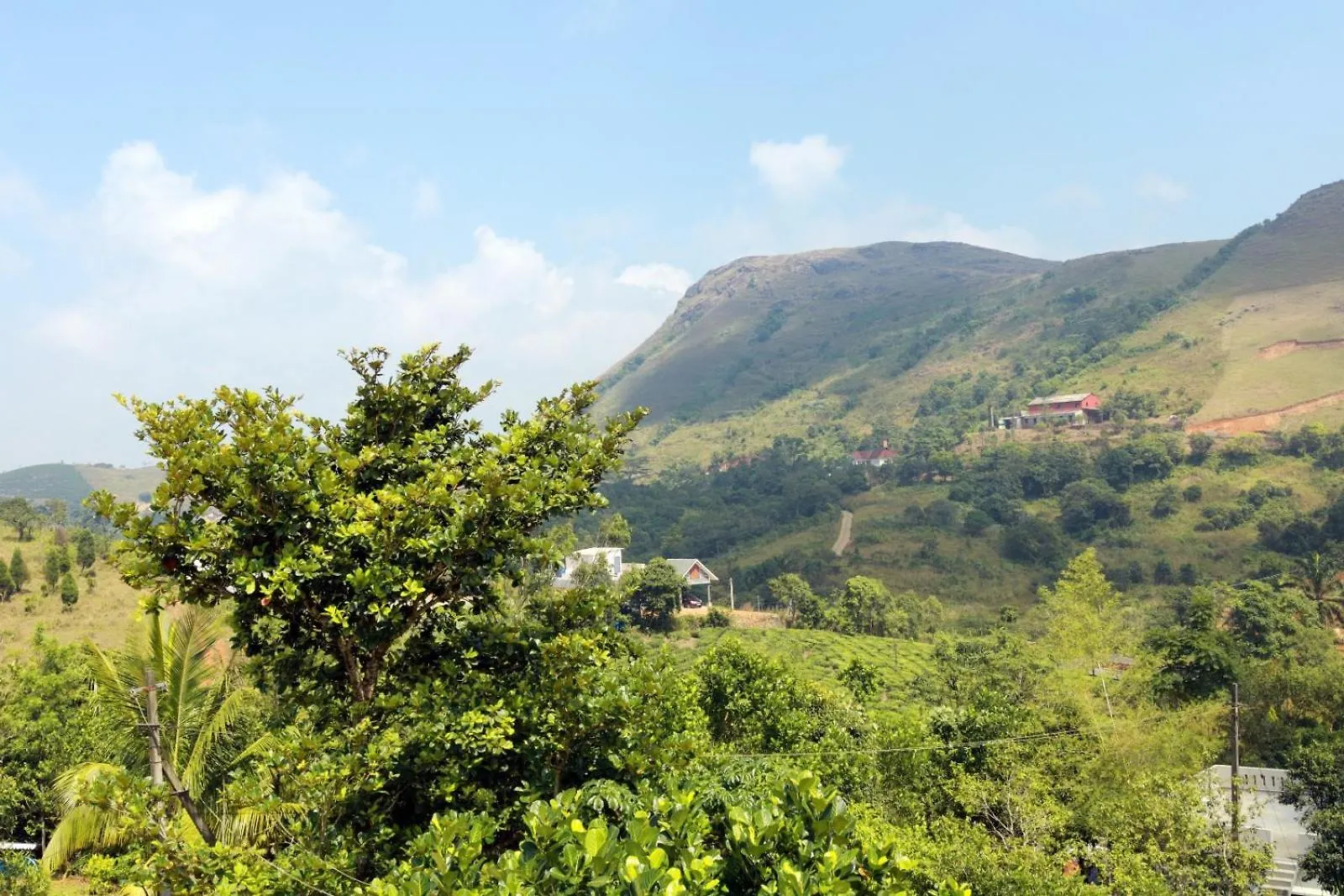 Vrindavan Four Bedrooms Homestay Vagamon India