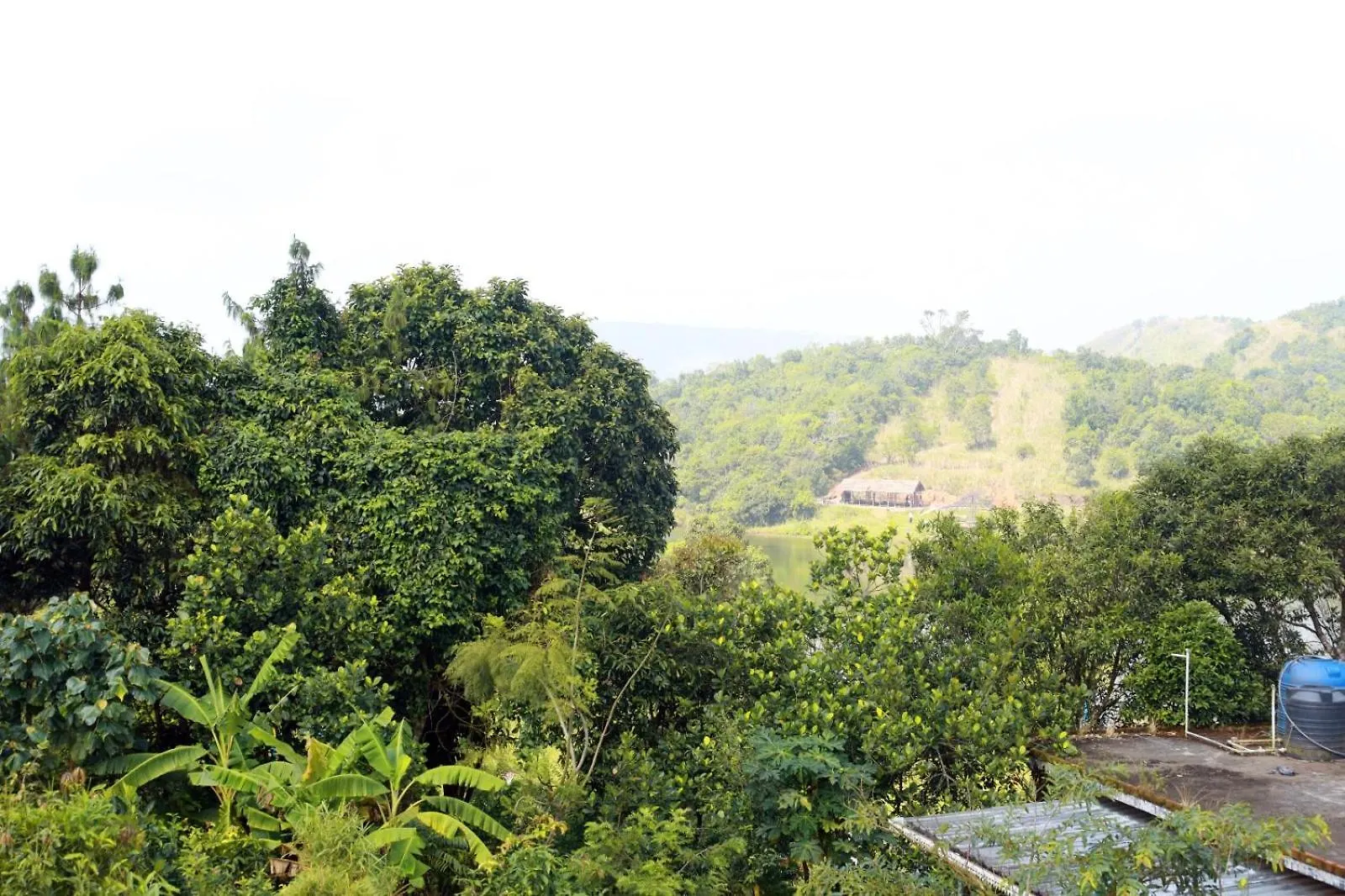 Vrindavan Four Bedrooms Homestay Vagamon Villa